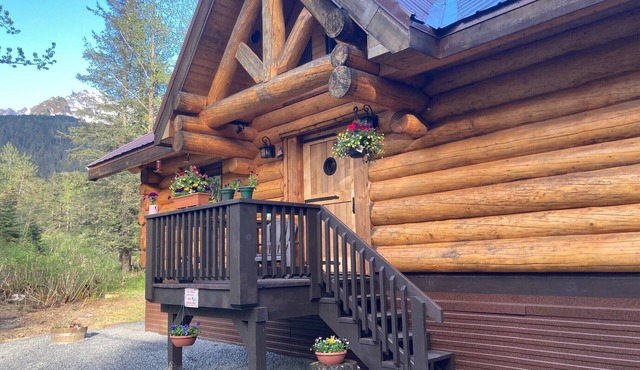 Custom Spruce Open Concept Log Cabin w/Firepit & BBQ