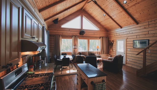 Denali Bear Cabin w/Hot Tub, Entire Cabin, Private, 3 beds