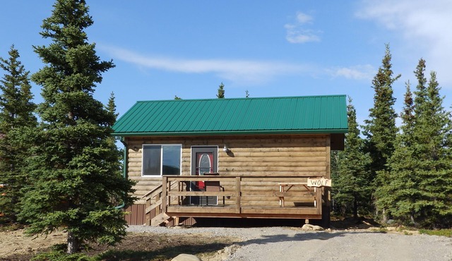 Denali Wildlife Wolf Cabin Luxury with a touch of Rustic.