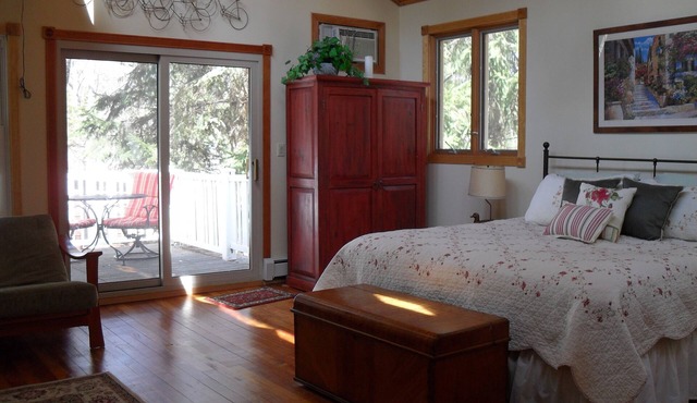 Lovely vacation home, woodsy setting, walk to Warren Dunes, patios, porch, yard!