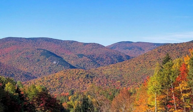 Mountain Log Home w/Amazing View! Foliage Awaiting