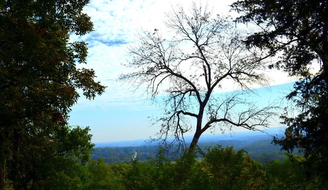 Mountain Retreat Near Buffalo River , Kayaks & Dirt Bike Adventure - -Happy Hawk