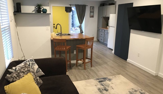 New American Modern Scandinavian Style Home