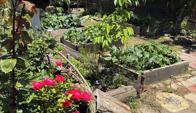 NY Summer Escape — your off-grid garden on the bay