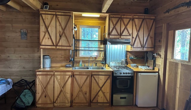 Ocean front Log Cabin South Thorne Bay 7 miles from Kasaan