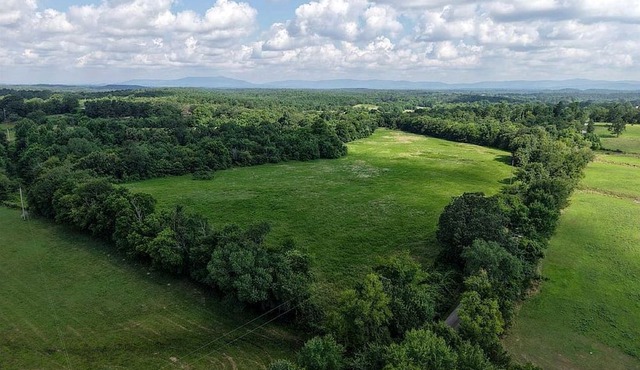 Peaceful Cabin Surrounded by Natural Beauty in Mena, Arkansas
