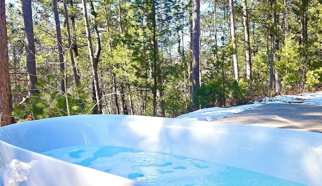 Private Gated Cabin Fireplace Pets welcome UTV Rout Wheelchair Accessible