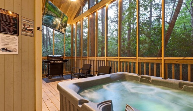 Romantic Couples Cabin: Screened Hot Tub + Fireplace + Forest Views - Near Helen