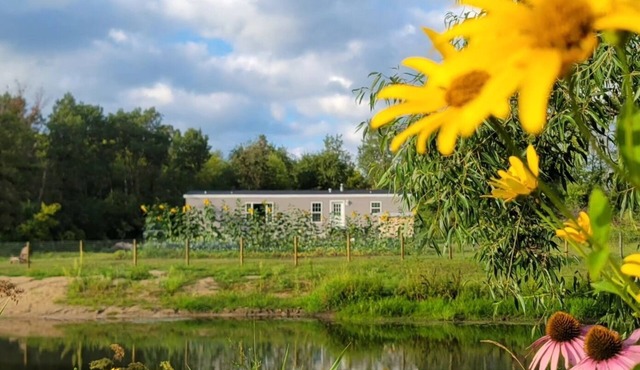 Secluded 3-bedroom Cabin style home with Pond and Wildlife, mins of New Hampton