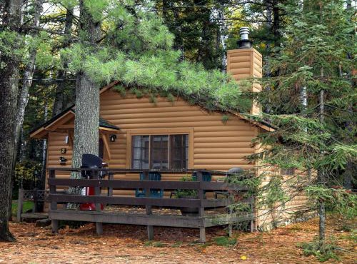 Secluded Rustic-Modern Cabin with Rock Fireplace & Pine-Surrounded Deck Near Babbitt, Minnesota