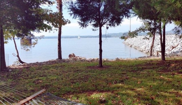 Sweet Tiny House - Lake Guntersville