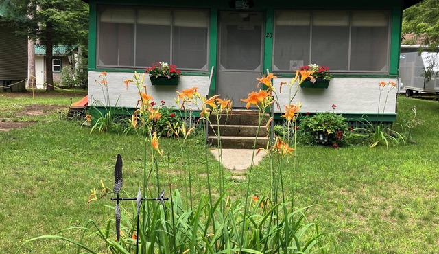 The Loon-ey Bin - Loon themed cottage less than 10 miles to Lake George