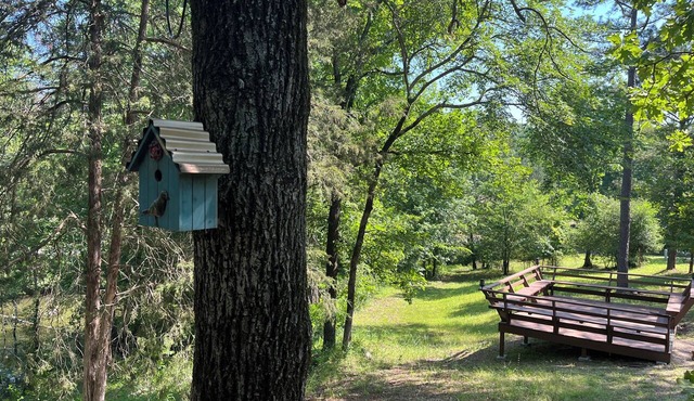 The Spruce ~ Cabin Sixteen ~ Pet Friendly ~ Lakefront