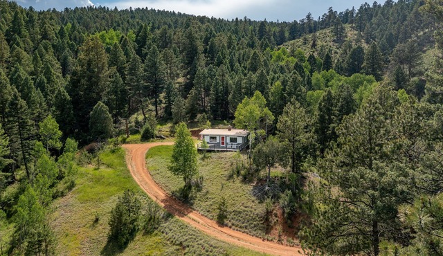 Uncle Rick’s Cabin: A Pike National Forest Basecamp