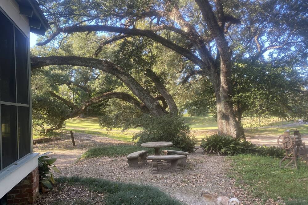 Photo of Outdoor in St. Francisville