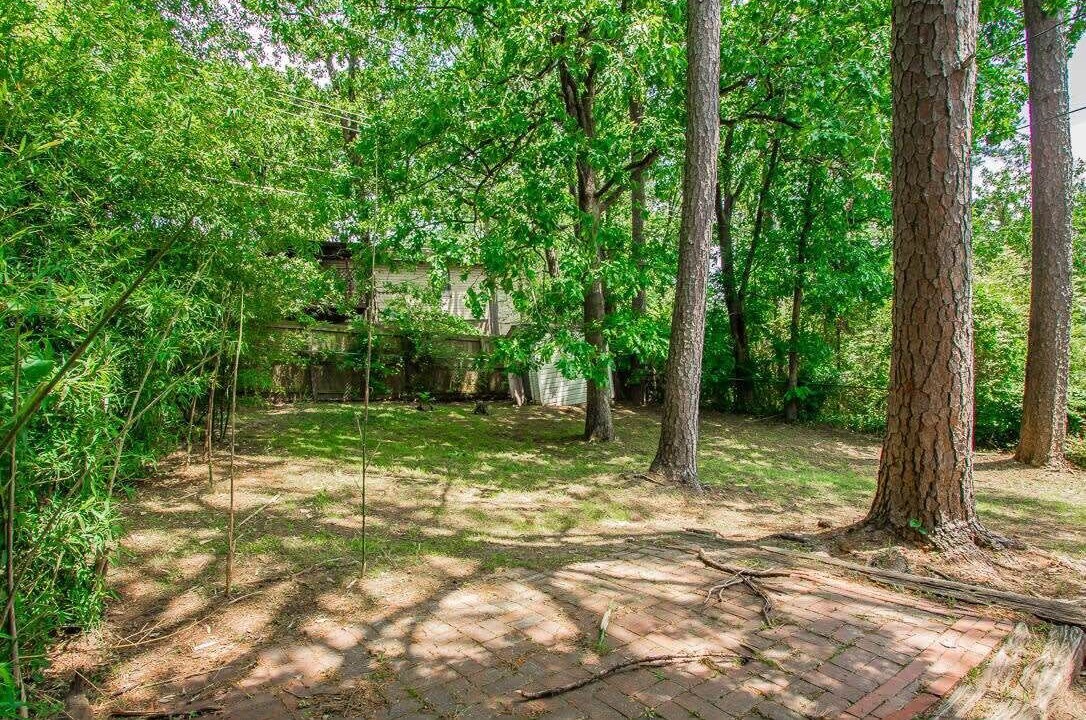 Photo of Outdoor in Little Rock