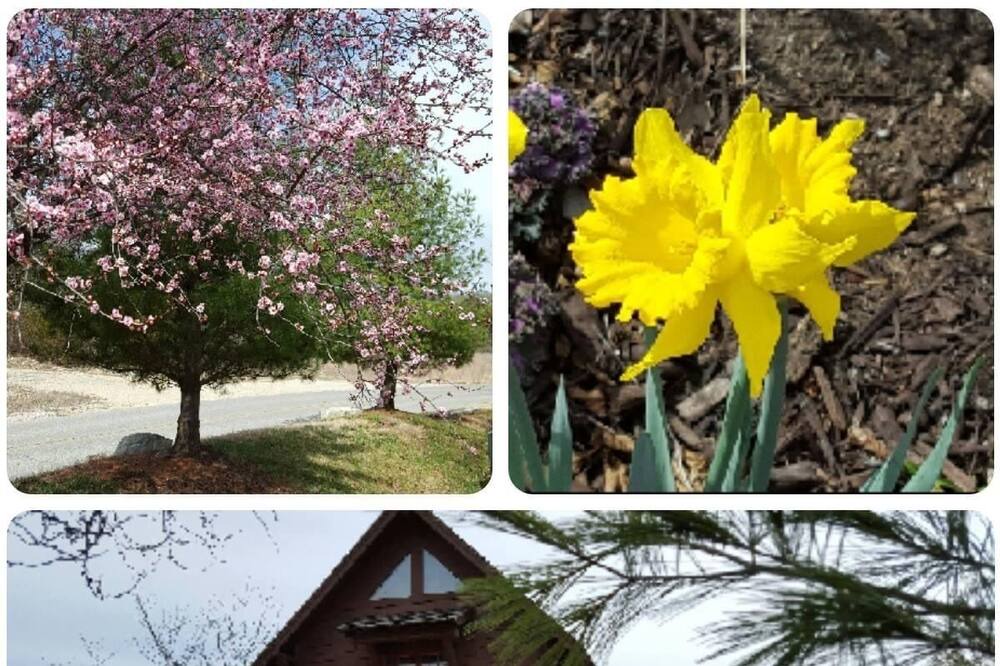 Photo of Others in Big Cedars