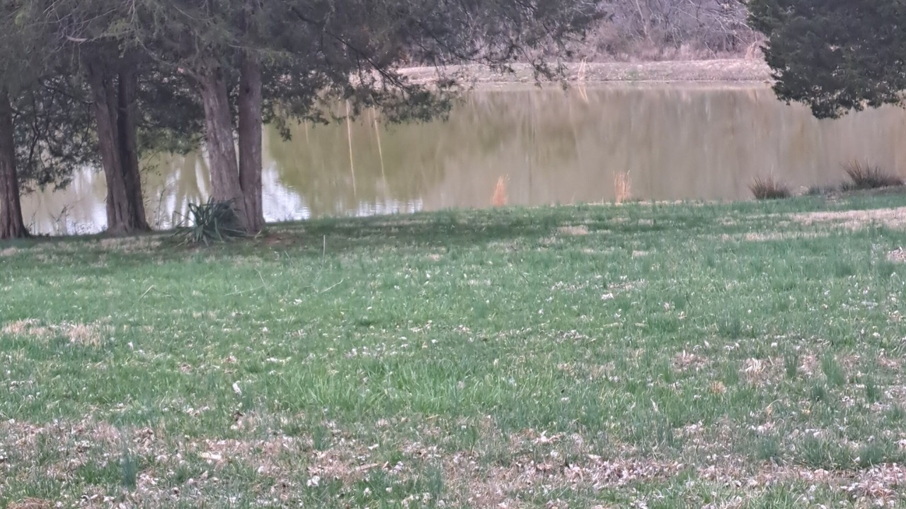Photo of Outdoor in Wolf Creek