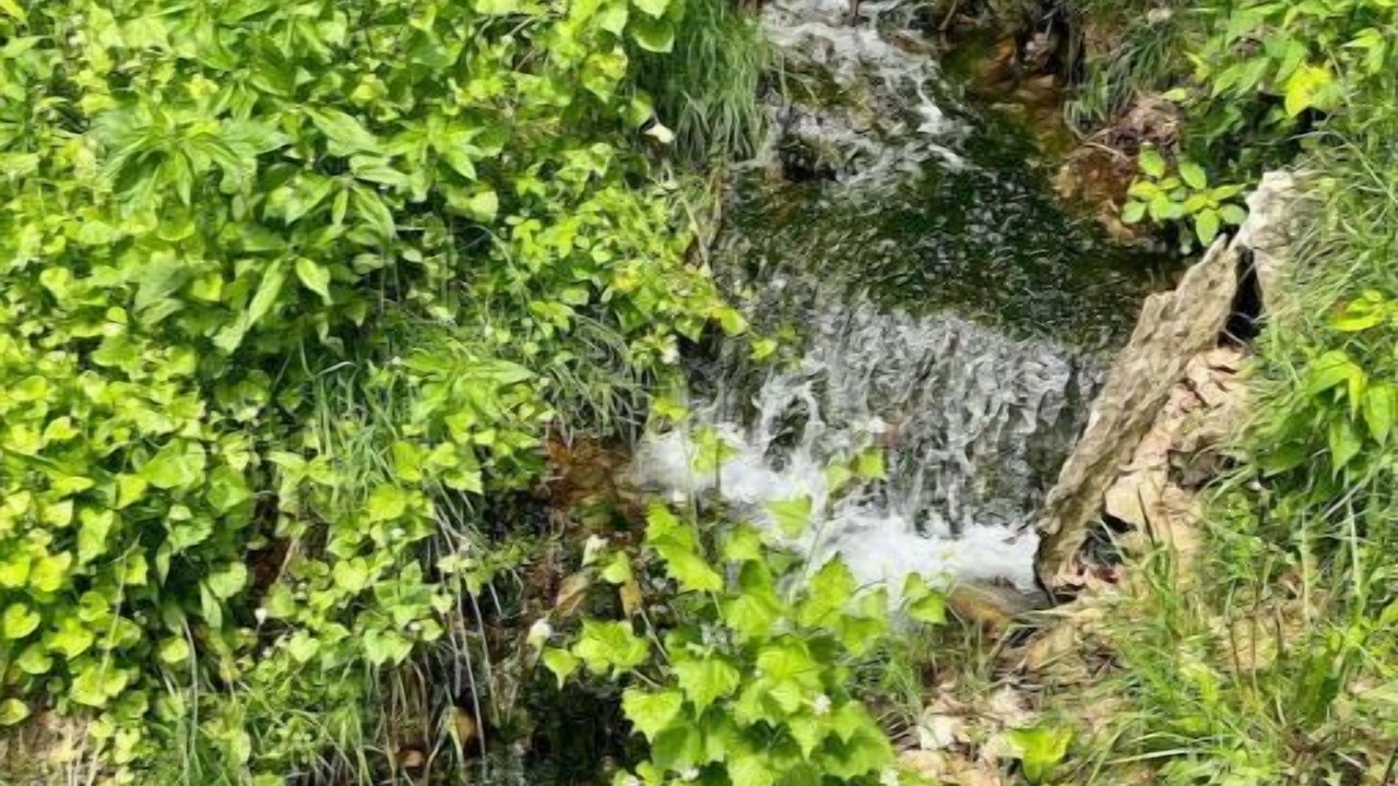 Photo of Outdoor in Decorah