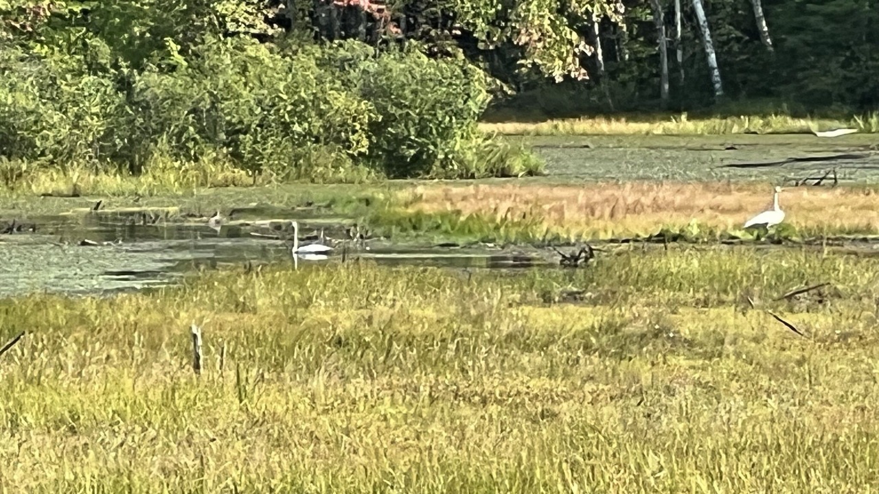 Photo of Outdoor in Holcombe