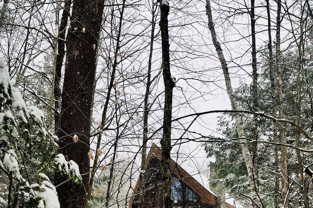 Photo of Others in North Creek