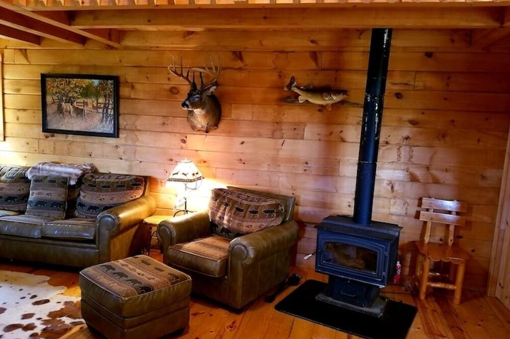 Photo of Livingroom in Waterville