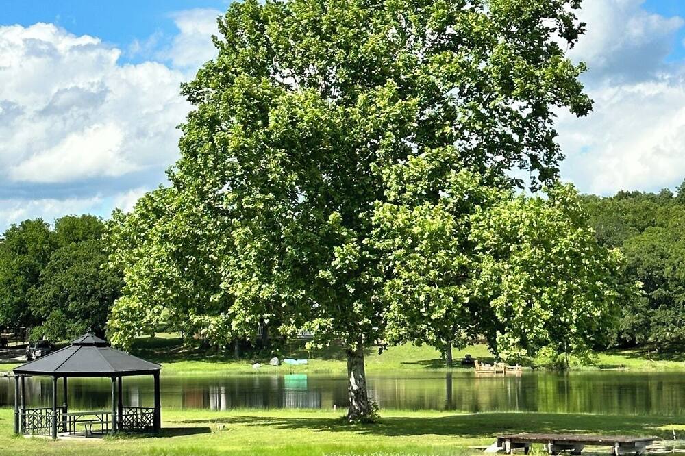 Photo of Outdoor in Sulphur