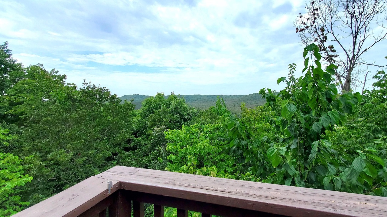 Photo of Outdoor in Holiday Island
