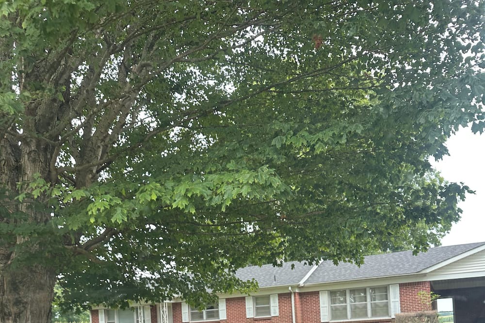 Photo of Outdoor in Como