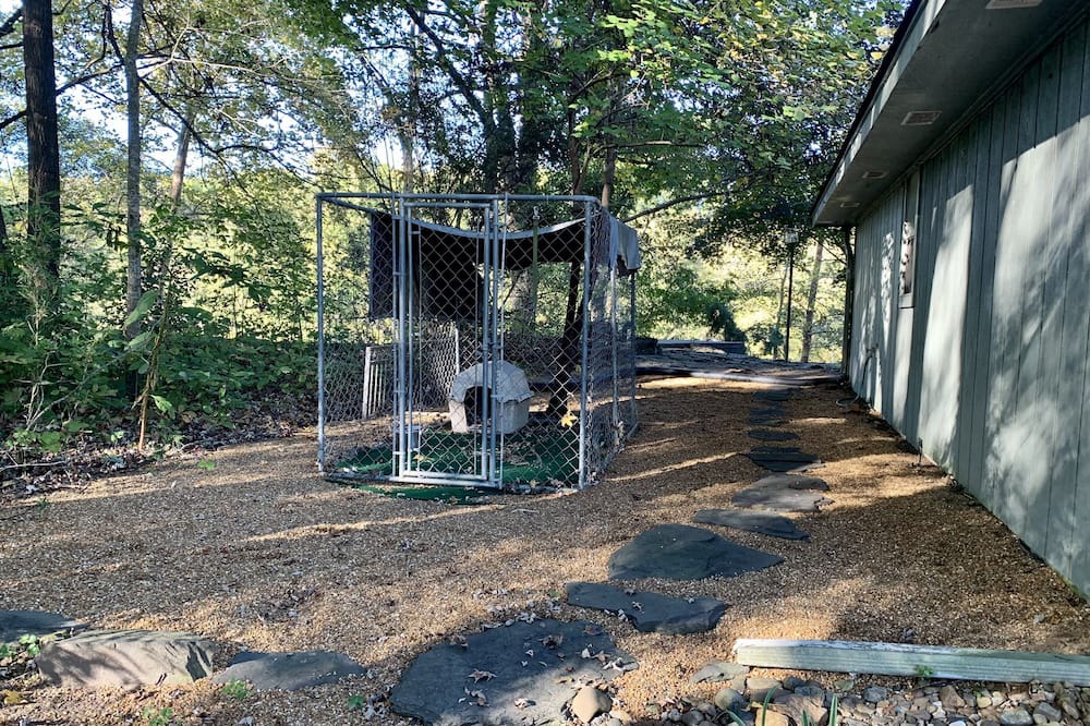 Photo of Outdoor in Wilburn