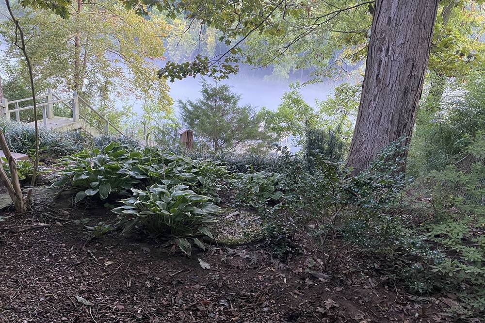 Photo of Outdoor in Wilburn