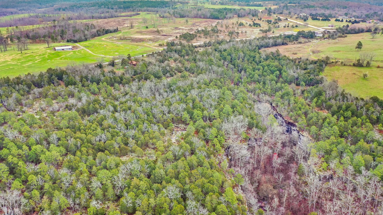 Photo of Outdoor in Calico Rock