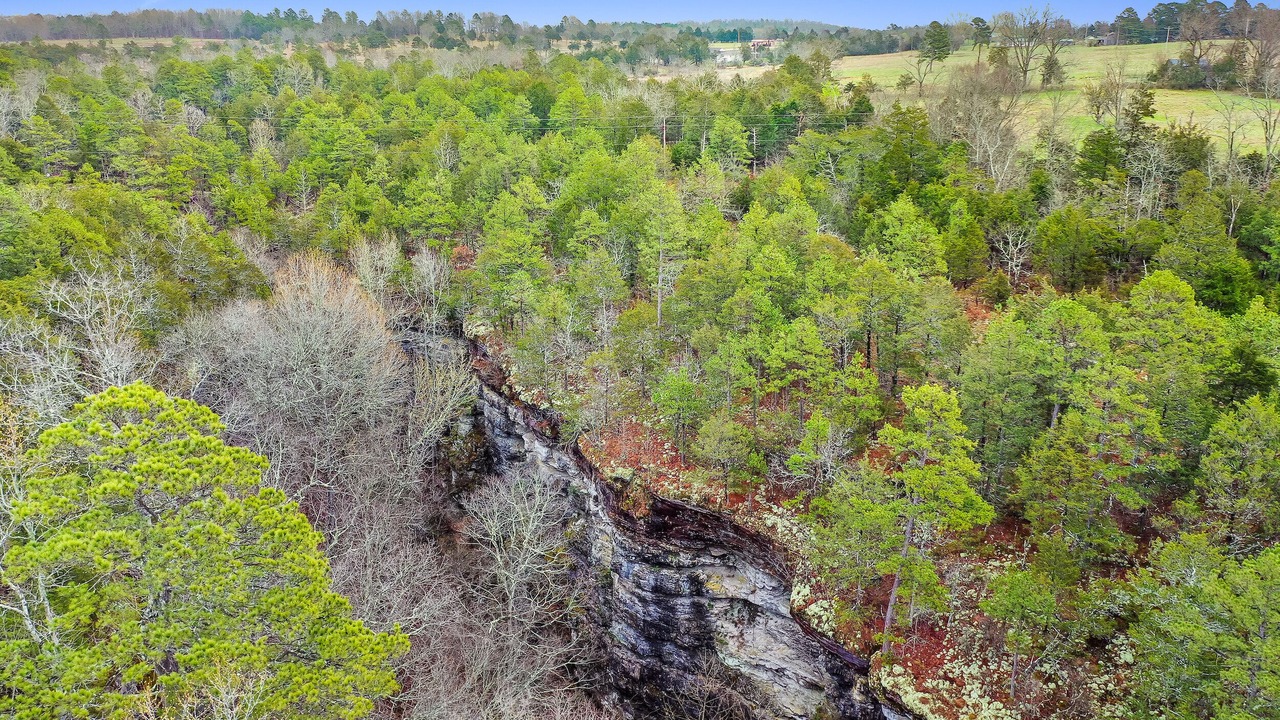 Photo of Outdoor in Calico Rock
