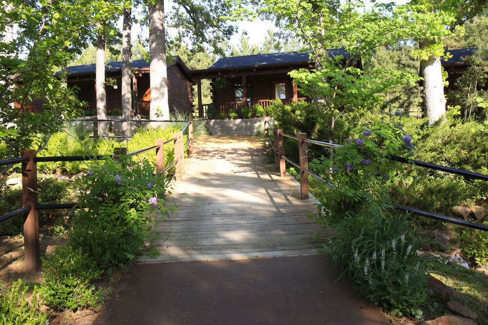 Photo of Outdoor in Tulsa