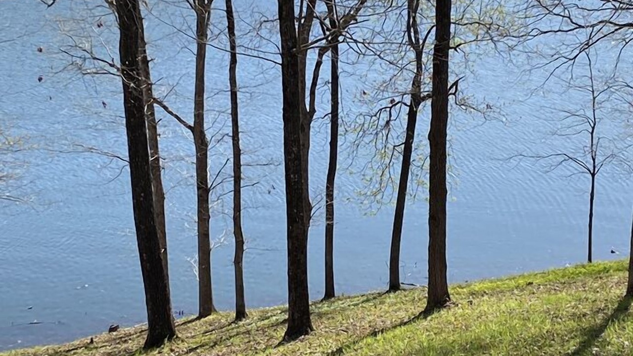 Photo of Outdoor in Jones Mills