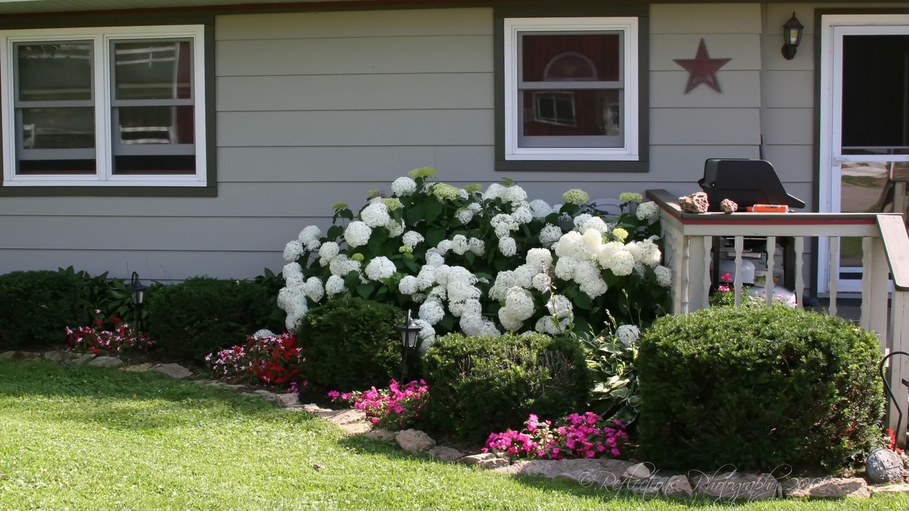 Photo of Outdoor in Onalaska
