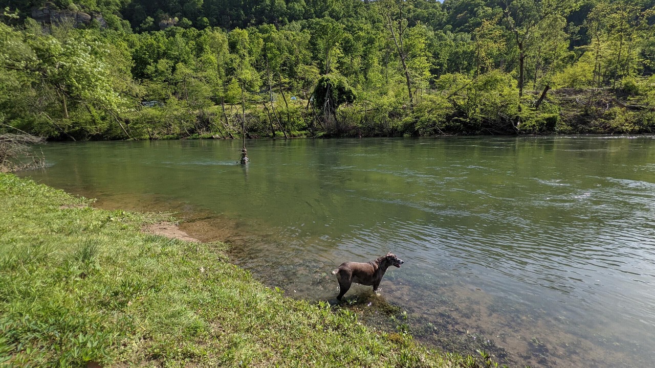 Photo of Others in Heber Springs