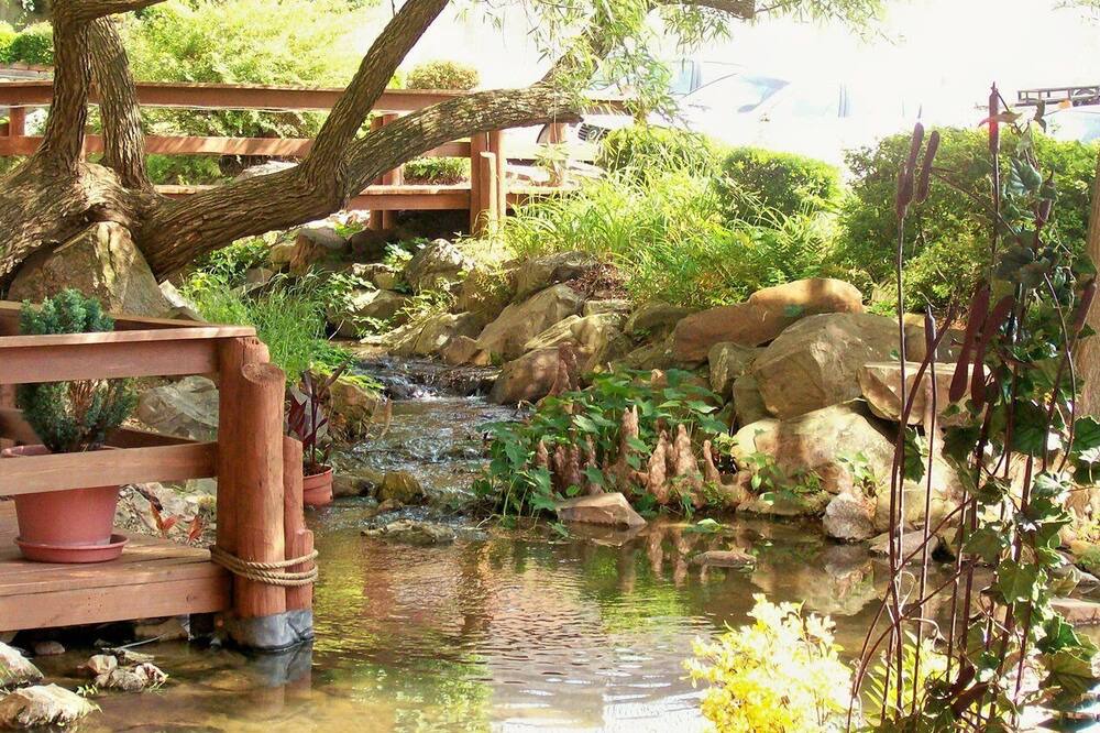 Photo of Others in Hot Springs