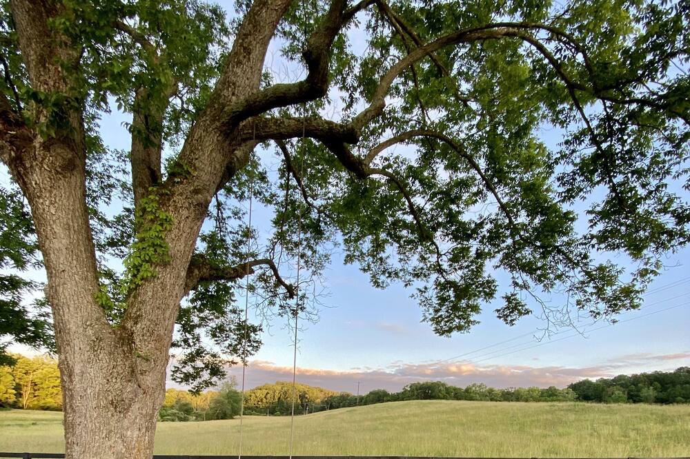 Photo of Outdoor in White Bluff