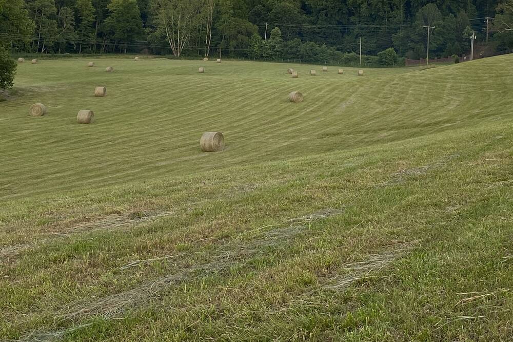 Photo of Others in White Bluff