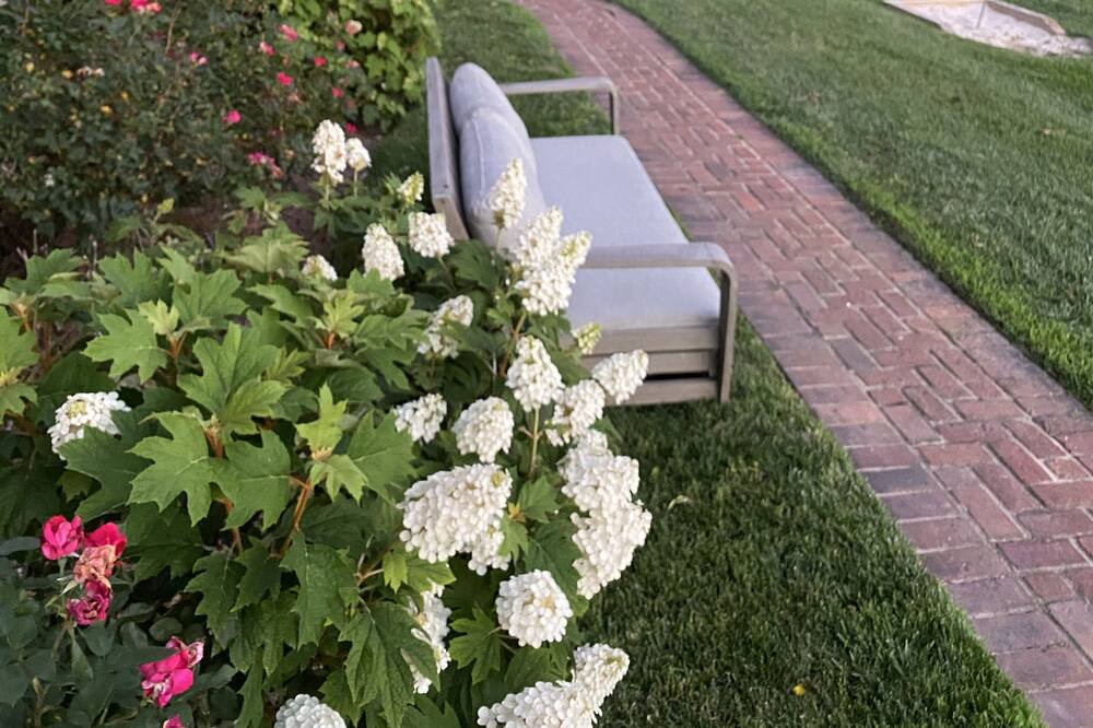 Photo of Outdoor in White Bluff