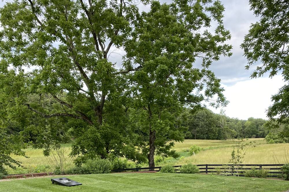 Photo of Outdoor in White Bluff