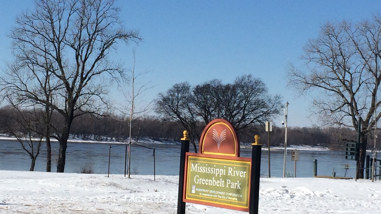 Photo of Outdoor in Memphis