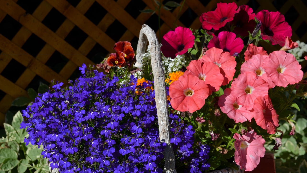 Photo of Outdoor in Wasilla