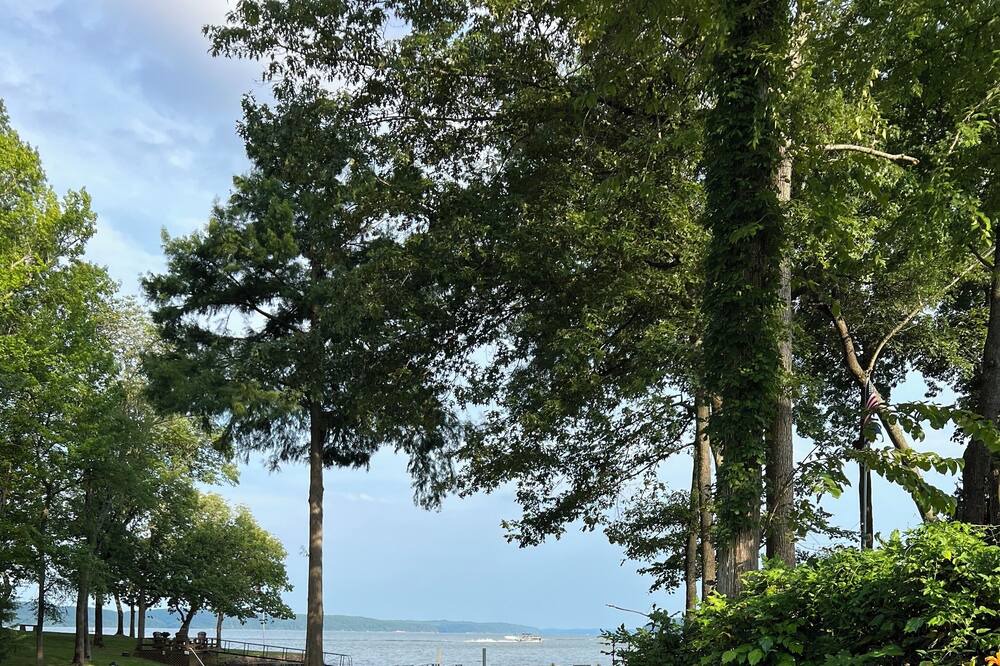 Photo of Outdoor in Counce
