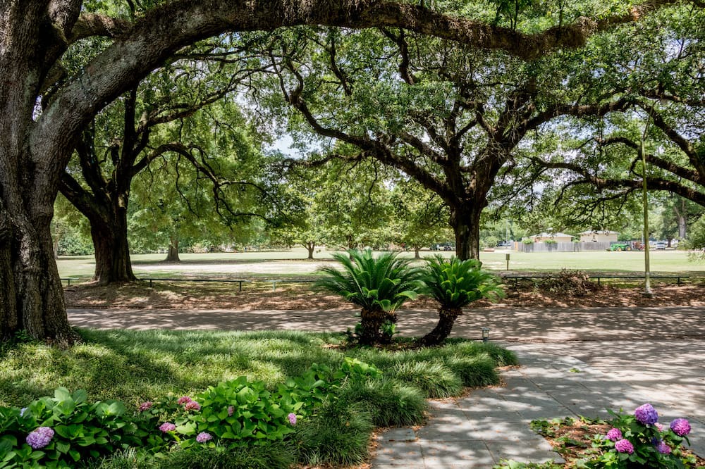 Photo of Outdoor in Baton Rouge