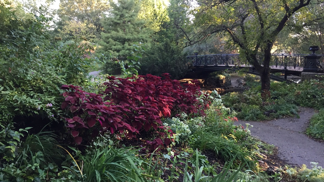 Photo of Outdoor in Lafayette Square