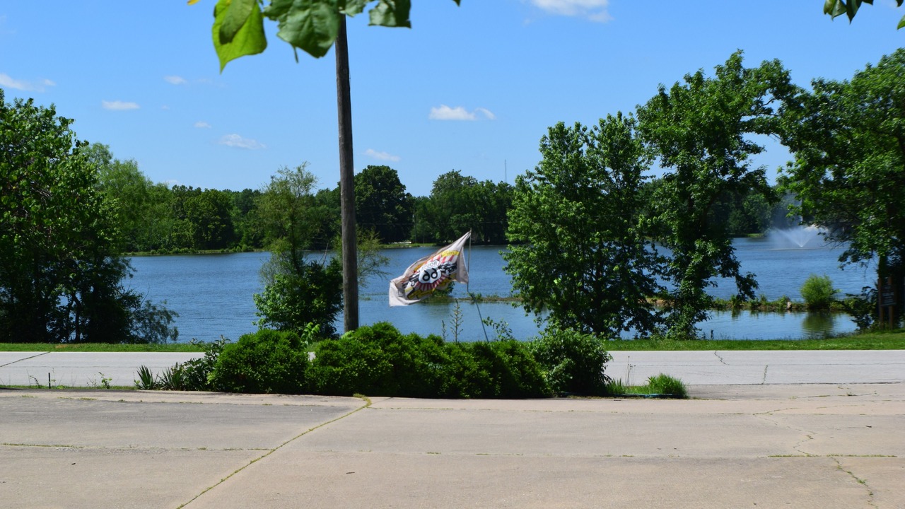 Photo of Others in Carthage