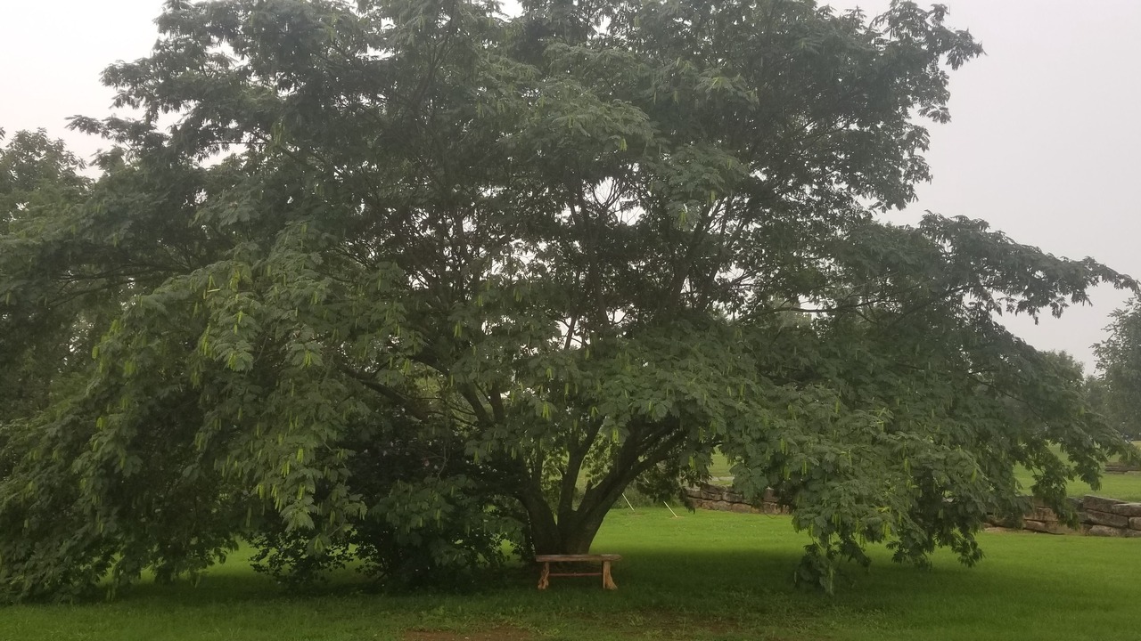 Photo of Outdoor in Berryville
