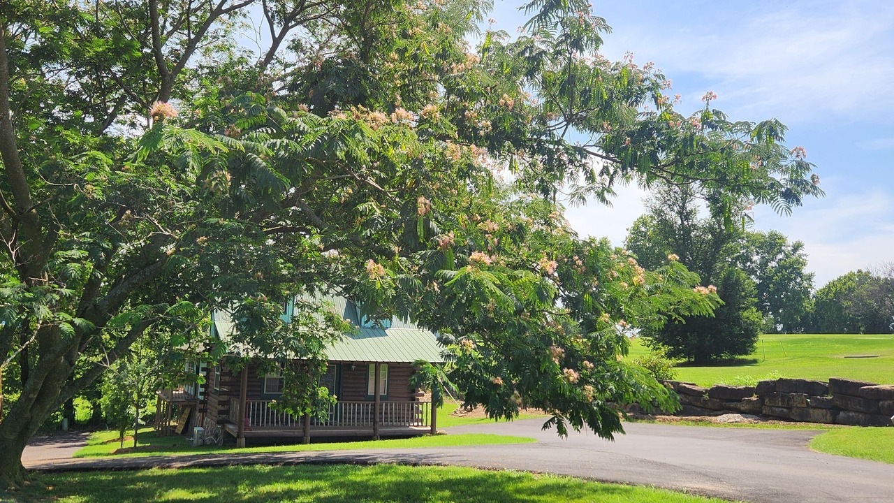 Photo of Outdoor in Berryville
